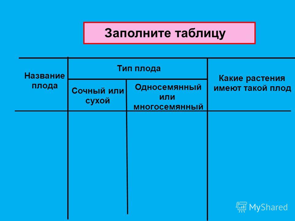 Заполните таблицу типы плодов в рабочей тетради