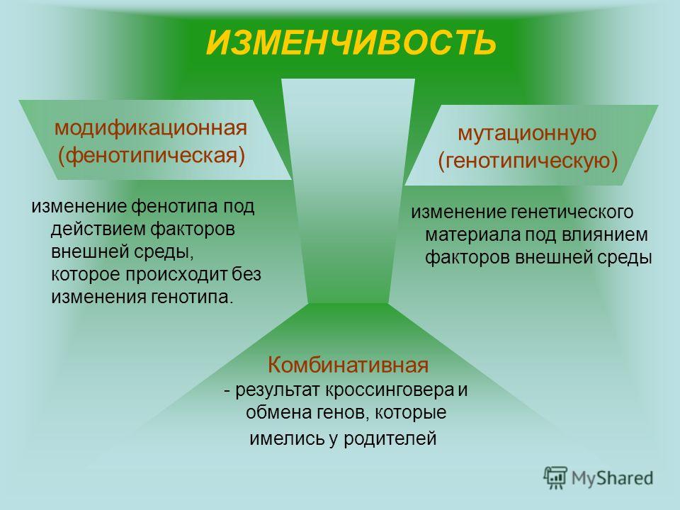 Купить вязальную машинку Каталог товаров Кукла Большеножка: советы по изготовлению, выкройки