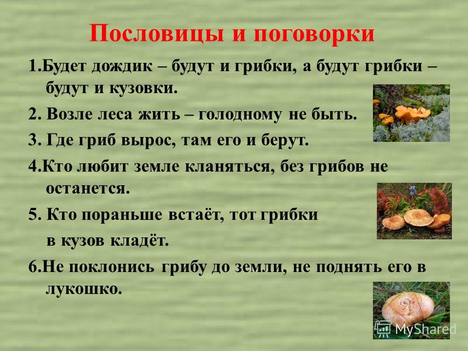 Пословицы поговорки и загадки про гриб Пословицы поговорки и загадки про гриб
