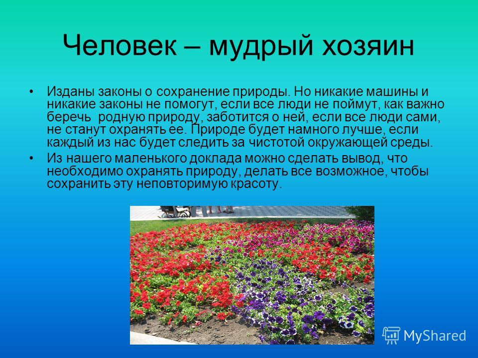 Как сделать для сохранения природы Как сделать для сохранения природы