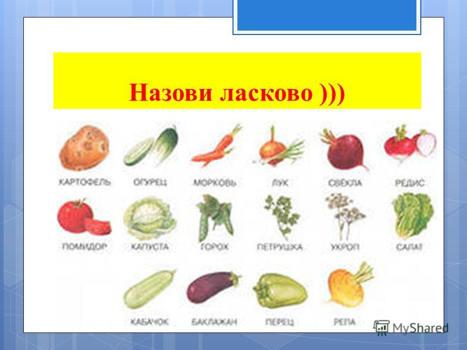 Картинки СУЩЕСТВИТЕЛЬНЫЕ С ЛАСКАТЕЛЬНЫМИ СУФФИКСАМИ