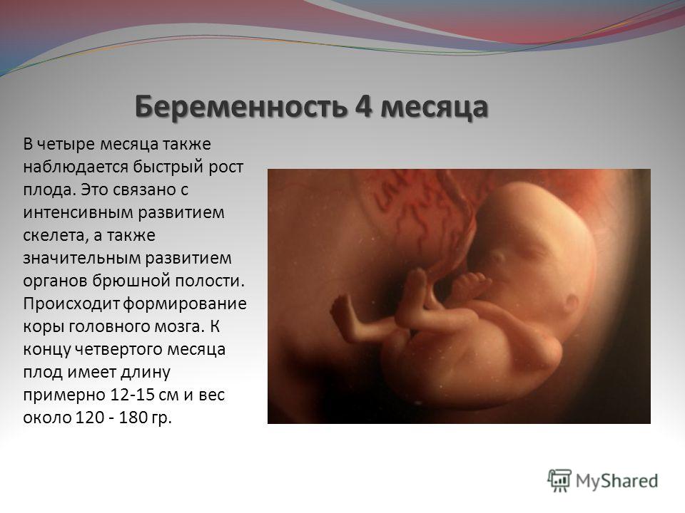 Беременность первого триместра и орви Беременность первого триместра и орви