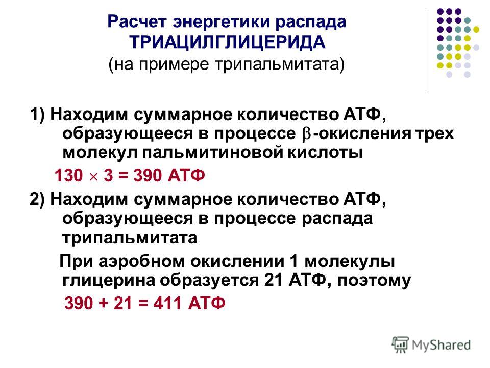 Образование атф происходит путем