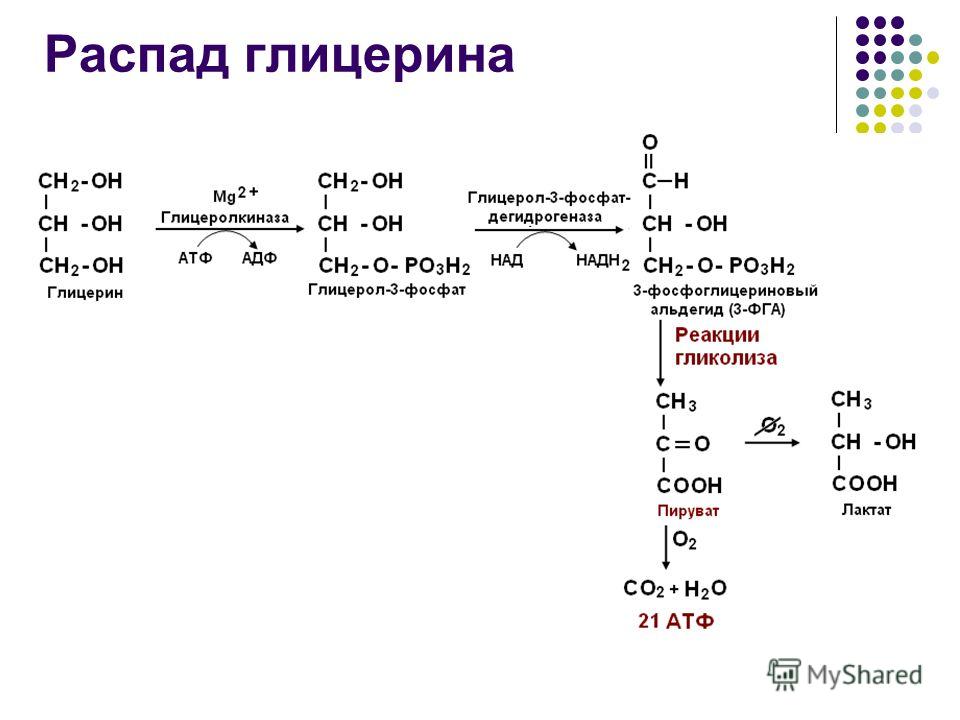 Схема реакций от глицерина до молочной кислоты