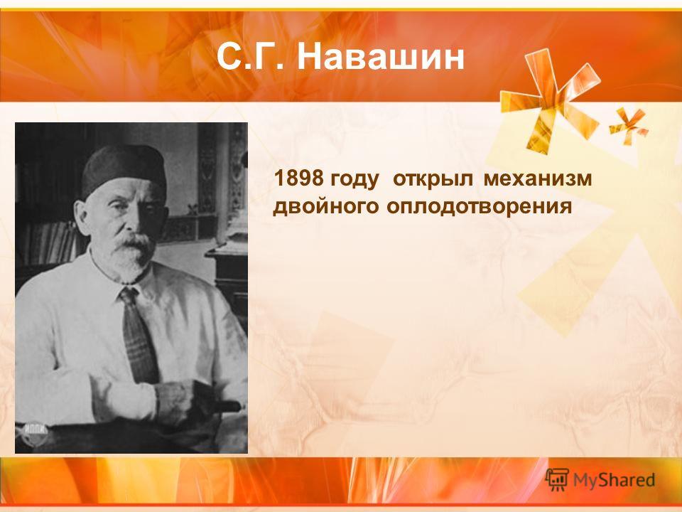 С.Г. Навашин 1898 году открыл механизм двойного оплодотворения