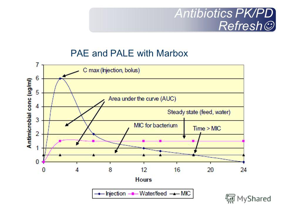 Antibiotics PK/PD Refresh PAE and PALE with Marbox