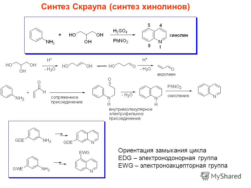 Синтез Скраупа (синтез хинолинов) Ориентация замыкания цикла EDG – электронодонорная группа EWG – электроноакцепторная группа