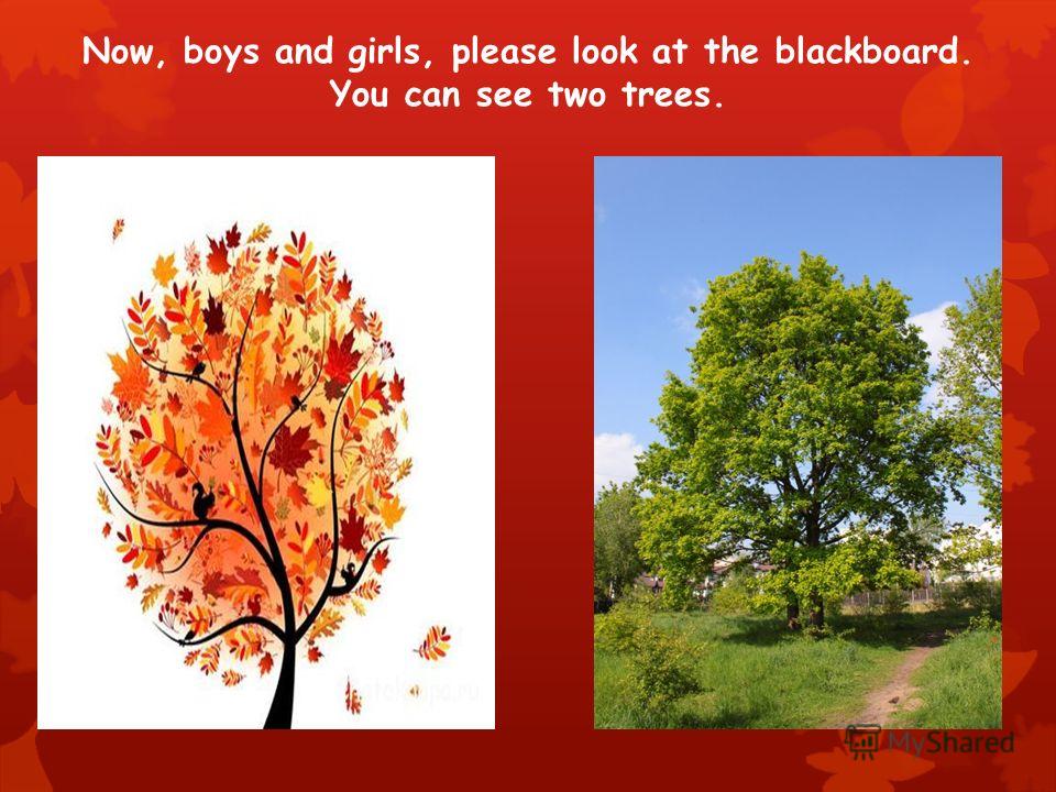 Now, boys and girls, please look at the blackboard. You can see two trees.