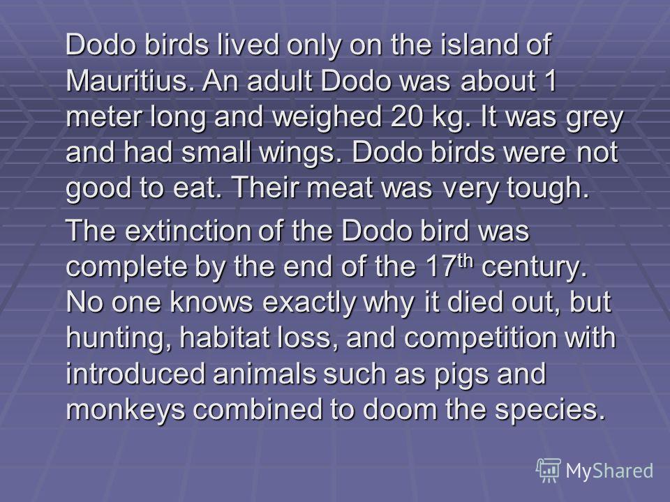 Dodo birds lived only on the island of Mauritius. An adult Dodo was about 1 meter long and weighed 20 kg. It was grey and had small wings. Dodo birds were not good to eat. Their meat was very tough. Dodo birds lived only on the island of Mauritius. A