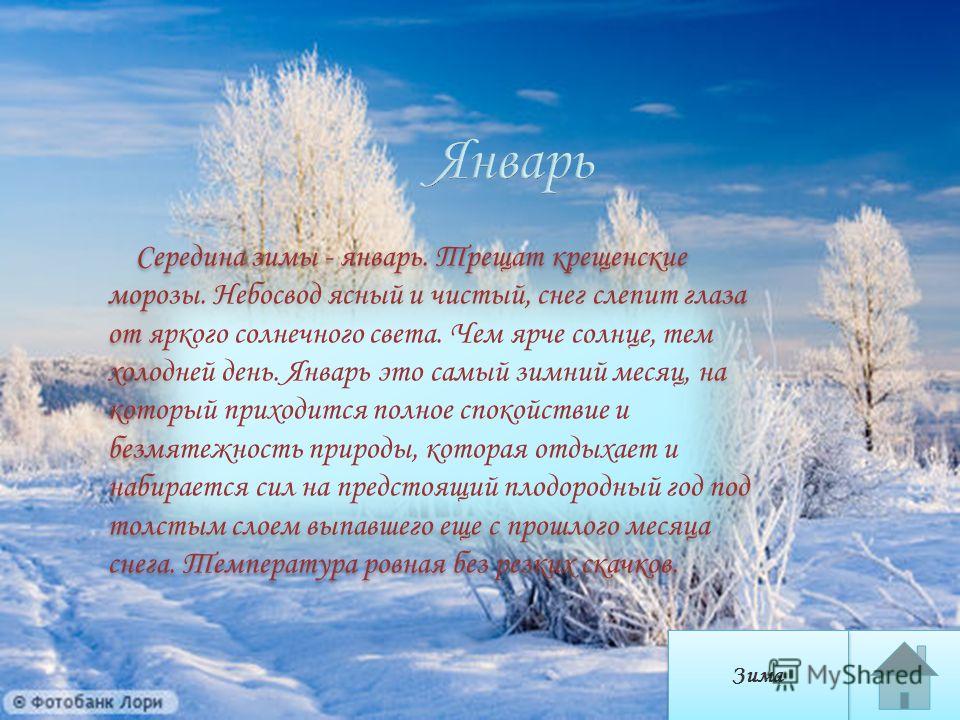 Зима Январь Фото Зима Январь Фото