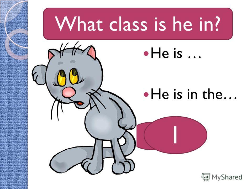 How old is he? He is … He is in the… What class is he in? 7 1