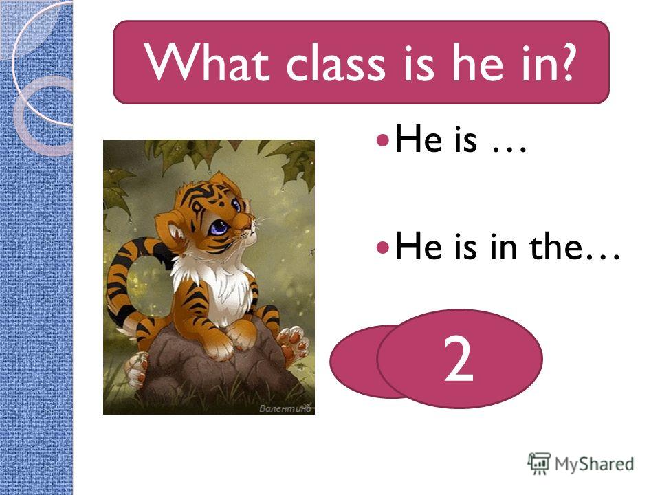 How old is he? He is … He is in the… What class is he in? 8 2