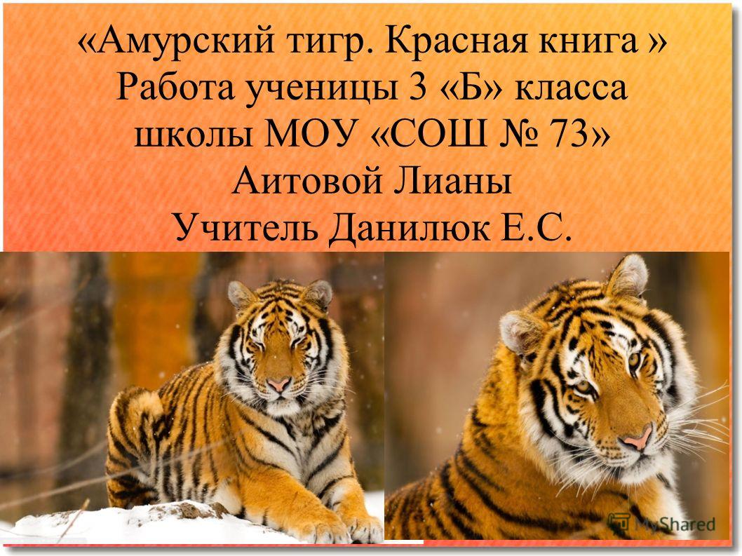 Скачать бесплатно книгу тигр тигр