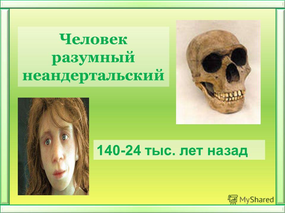 Человек разумный неандертальский 140-24 тыс. лет назад