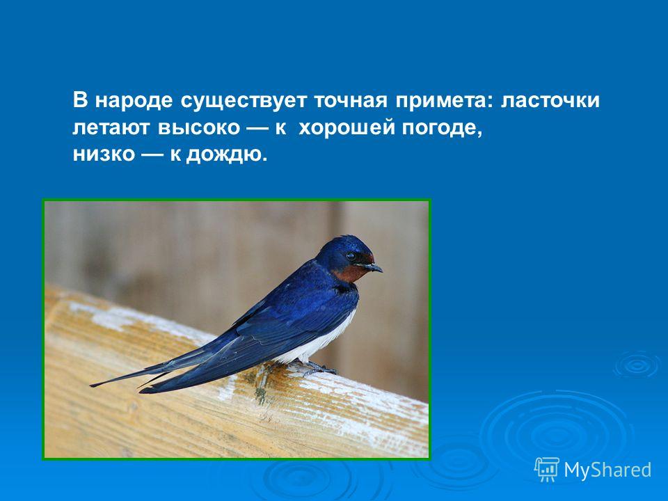 Погода с 26 апреля 2016
