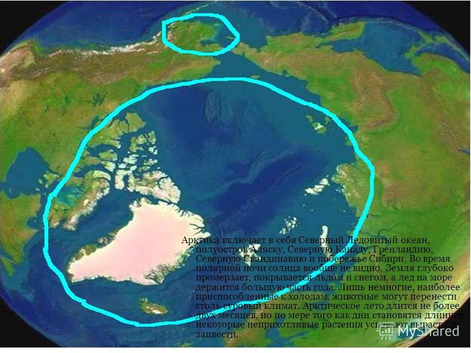 Арктика включает в себя Северный Ледовитый океан, полуостров Аляску, Северную Канаду, Гренландию, Северную Скандинавию и побережье Сибири. Во время полярной ночи солнца вообще не видно. Земля глубоко промерзает, покрывается льдом и снегом, а лед на м