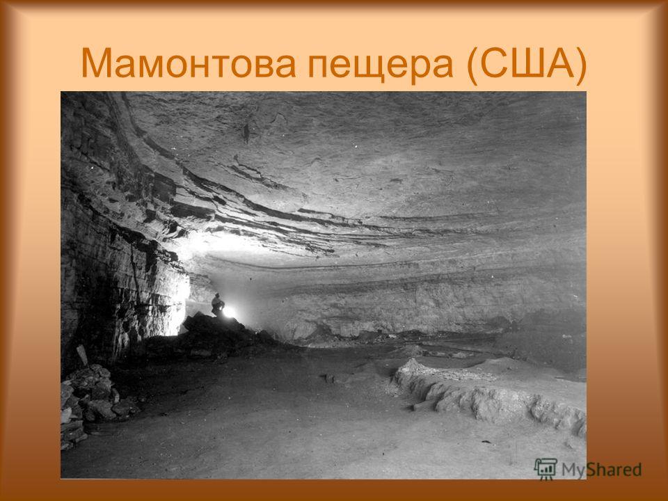 Мамонтова пещера (США)