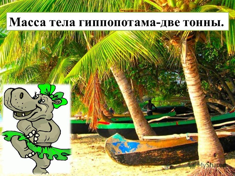 Читать книги онлайн терновая королева
