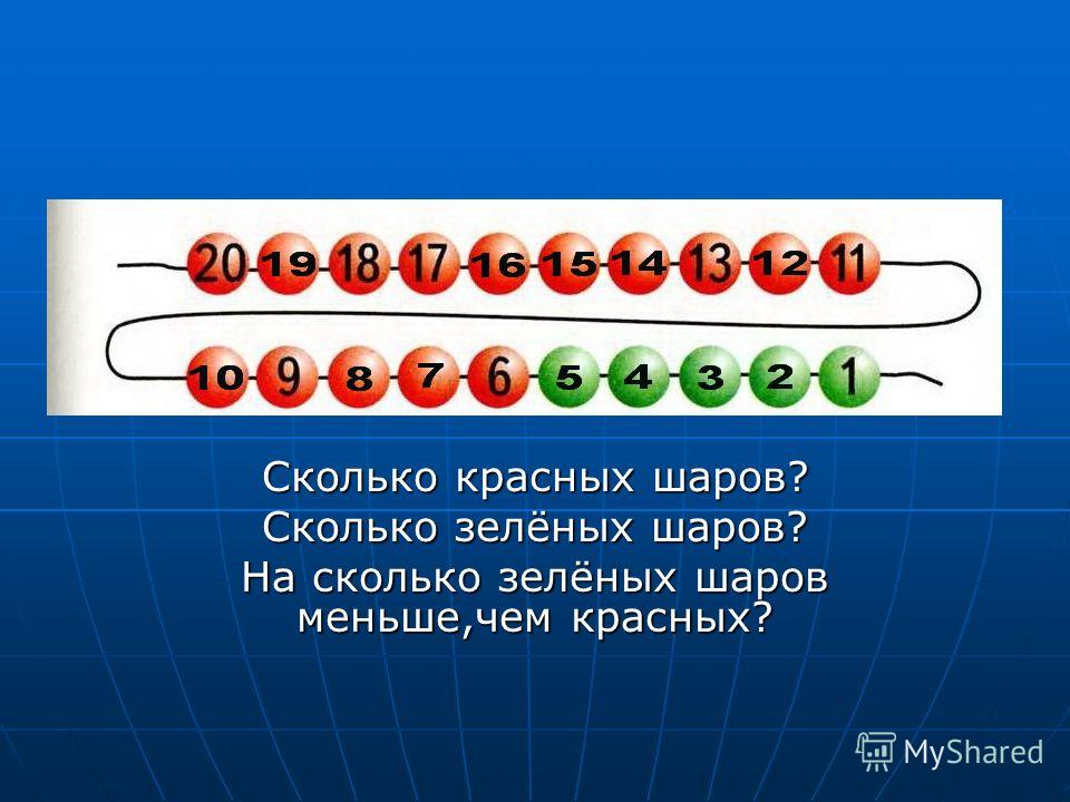 Биток или биточки? Неожиданное расследование китовой подноготной