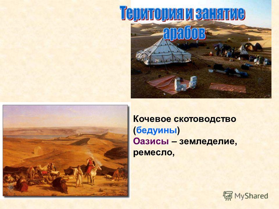 Кочевое скотоводство (бедуины) Оазисы – земледелие, ремесло,