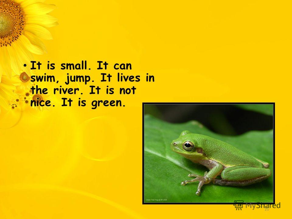 It is small. It can swim, jump. It lives in the river. It is not nice. It is green. 10