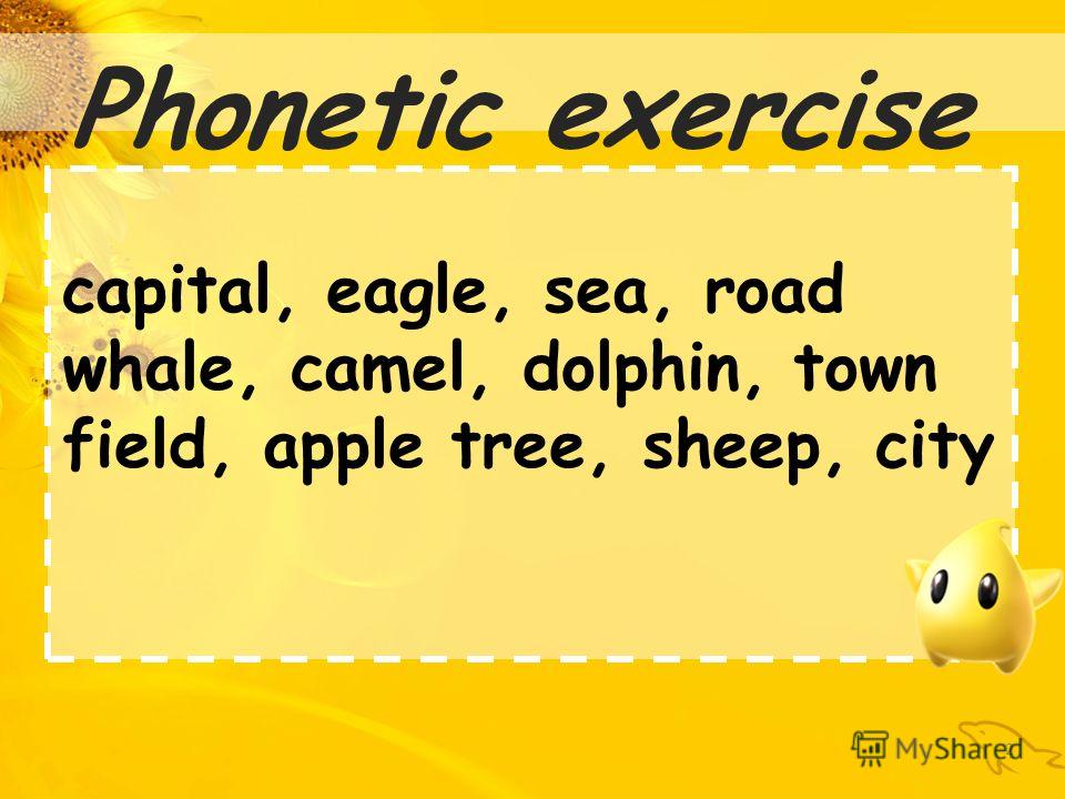 2 Phonetic exercise capital, eagle, sea, road whale, camel, dolphin, town field, apple tree, sheep, city