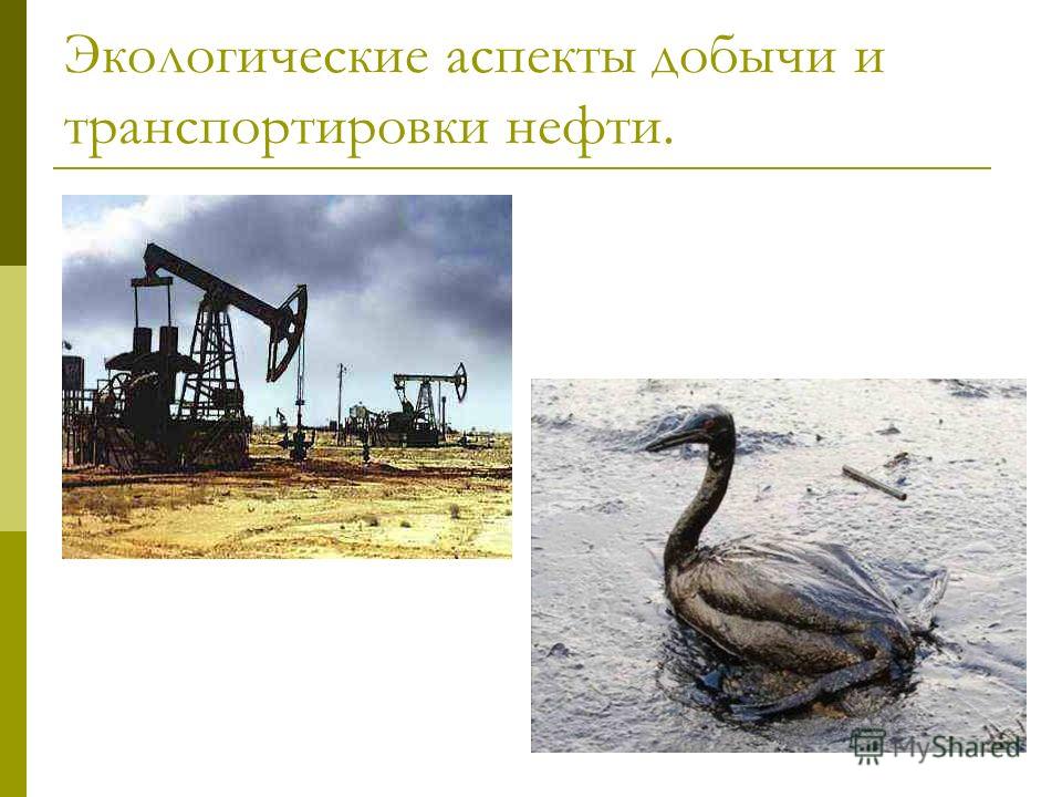Экологические аспекты добычи и транспортировки нефти.