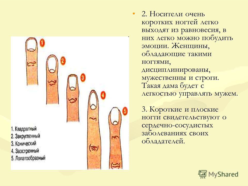 2. Носители очень коротких ногтей легко выходят из равновесия, в них легко можно побудить эмоции. Женщины, обладающие такими ногтями, дисциплинированы, мужественны и строги. Такая дама будет с легкостью управлять мужем. 3. Короткие и плоские ногти св