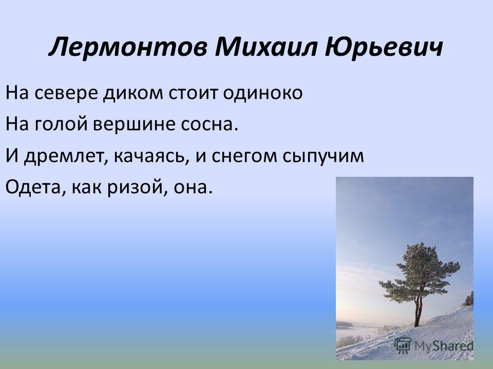 Лермонтов Михаил Юрьевич На севере диком стоит одиноко На голой вершине сосна. И дремлет, качаясь, и снегом сыпучим Одета, как ризой, она.
