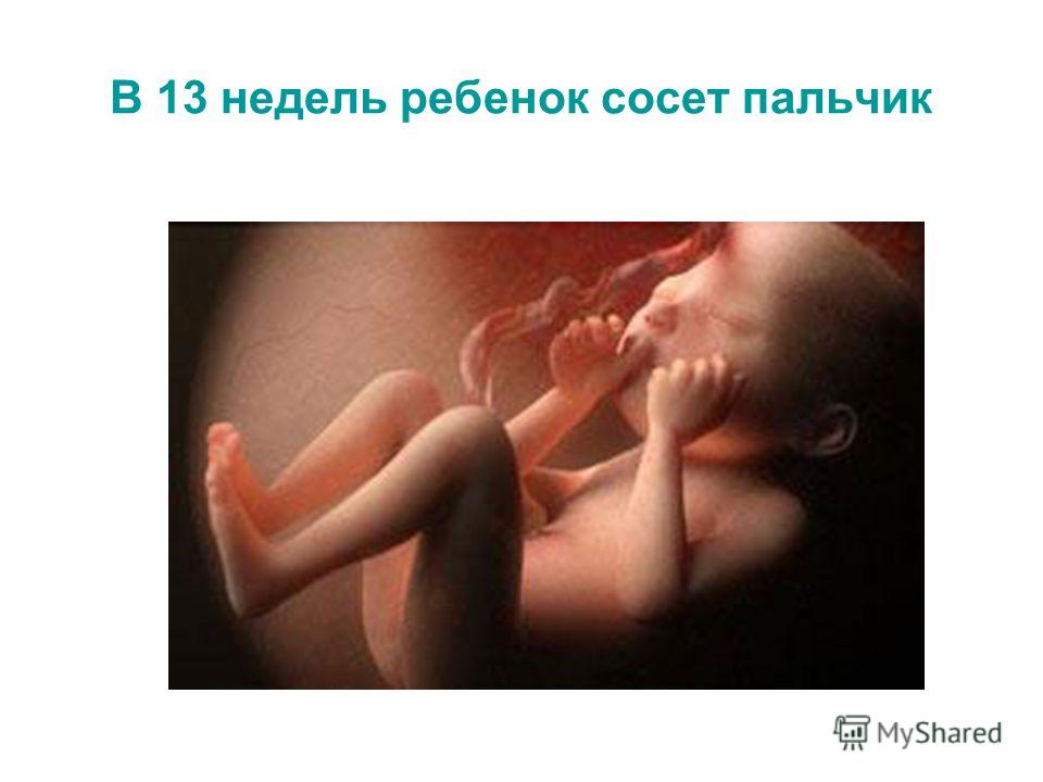 В 13 недель ребенок сосет пальчик