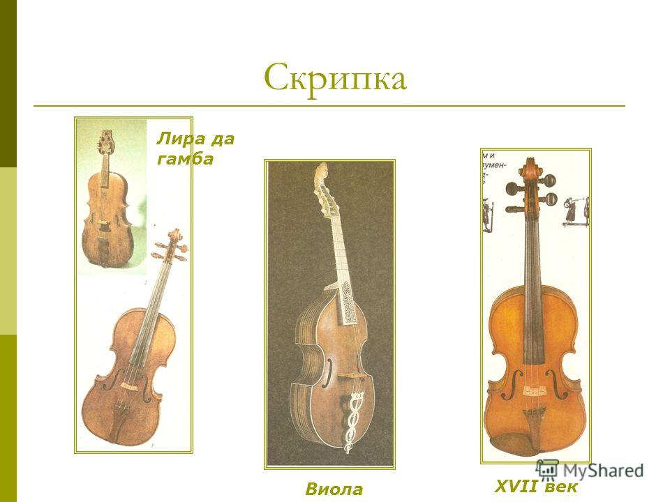 Скрипка XVII век Лира да гамба Виола