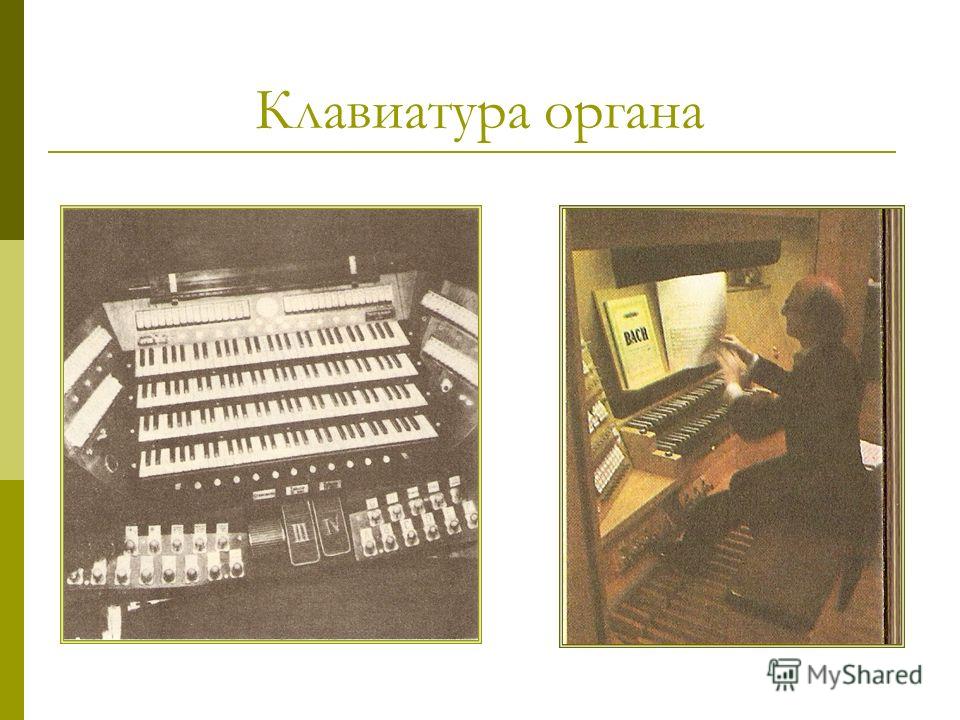 Клавиатура органа