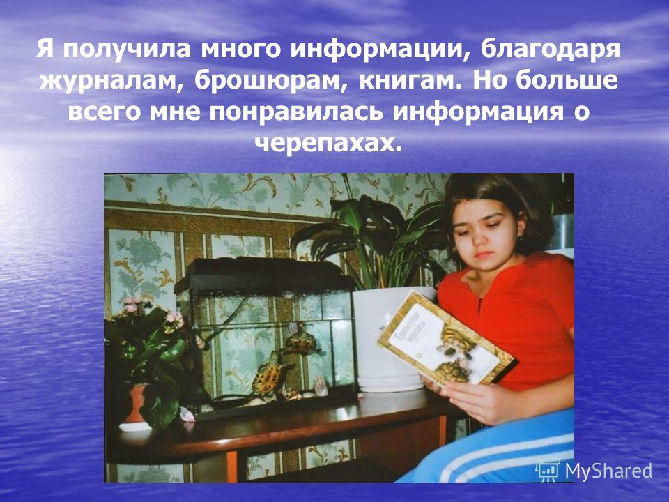 Я получила много информации, благодаря журналам, брошюрам, книгам. Но больше всего мне понравилась информация о черепахах.
