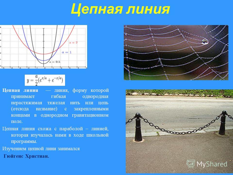 Цепная линия Цепная линия линия, форму которой принимает гибкая однородная нерастяжимая тяжелая нить или цепь (отсюда название) с закрепленными концами в однородном гравитационном поле. Цепная линия схожа с параболой – линией, которая изучалась нами 