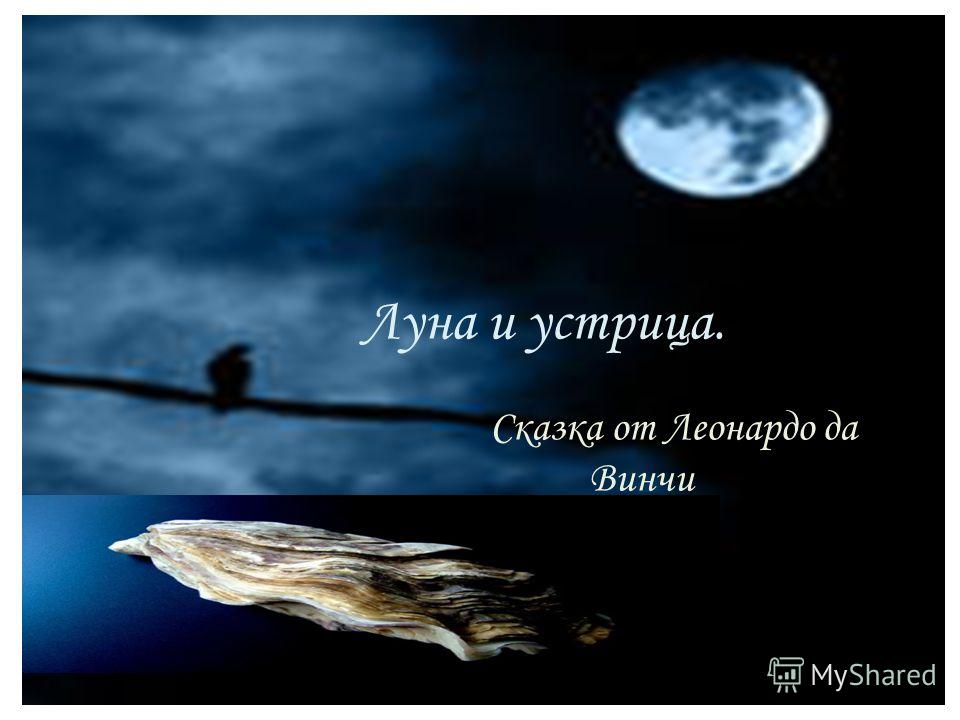 Луна и устрица. Сказка от Леонардо да Винчи