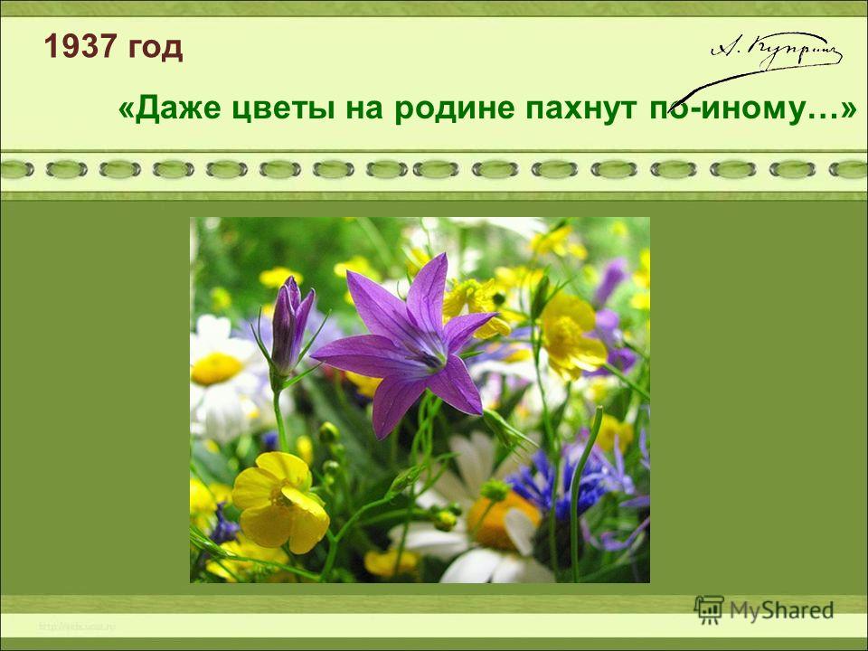 1937 год «Даже цветы на родине пахнут по-иному…»