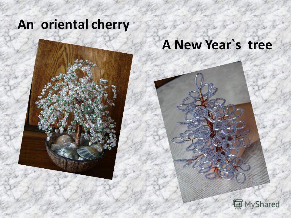 An oriental cherry A New Year`s tree