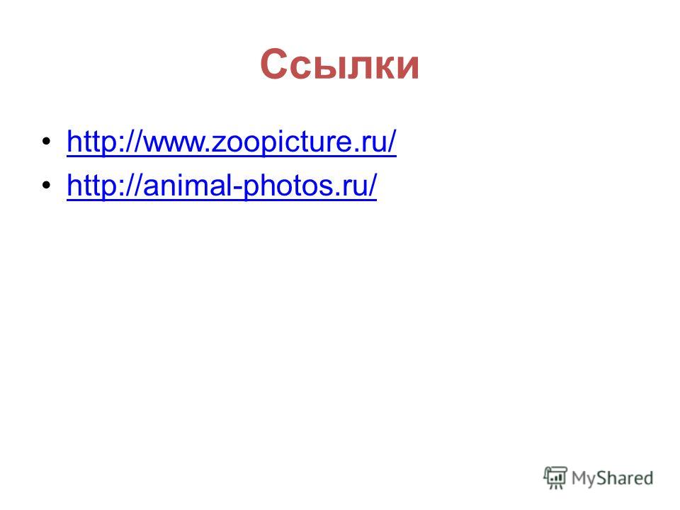 Ссылки http://www.zoopicture.ru/ http://animal-photos.ru/