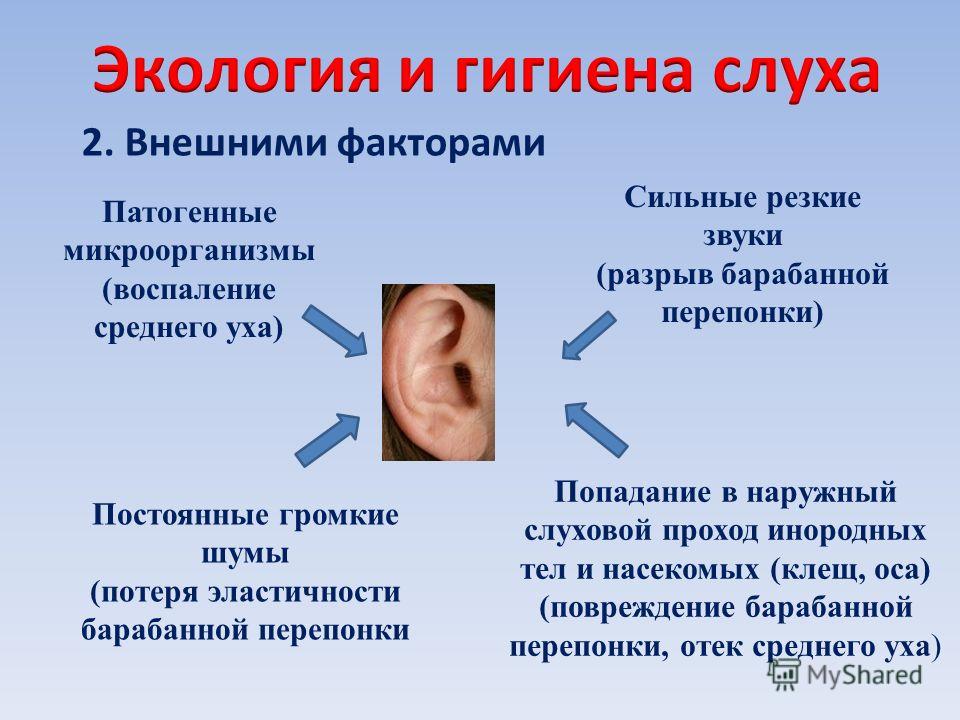 2. Внешними факторами Патогенные микроорганизмы (воспаление среднего уха) Сильные резкие звуки (разрыв барабанной перепонки) Попадание в наружный слуховой проход инородных тел и насекомых (клещ, оса) (повреждение барабанной перепонки, отек среднего у