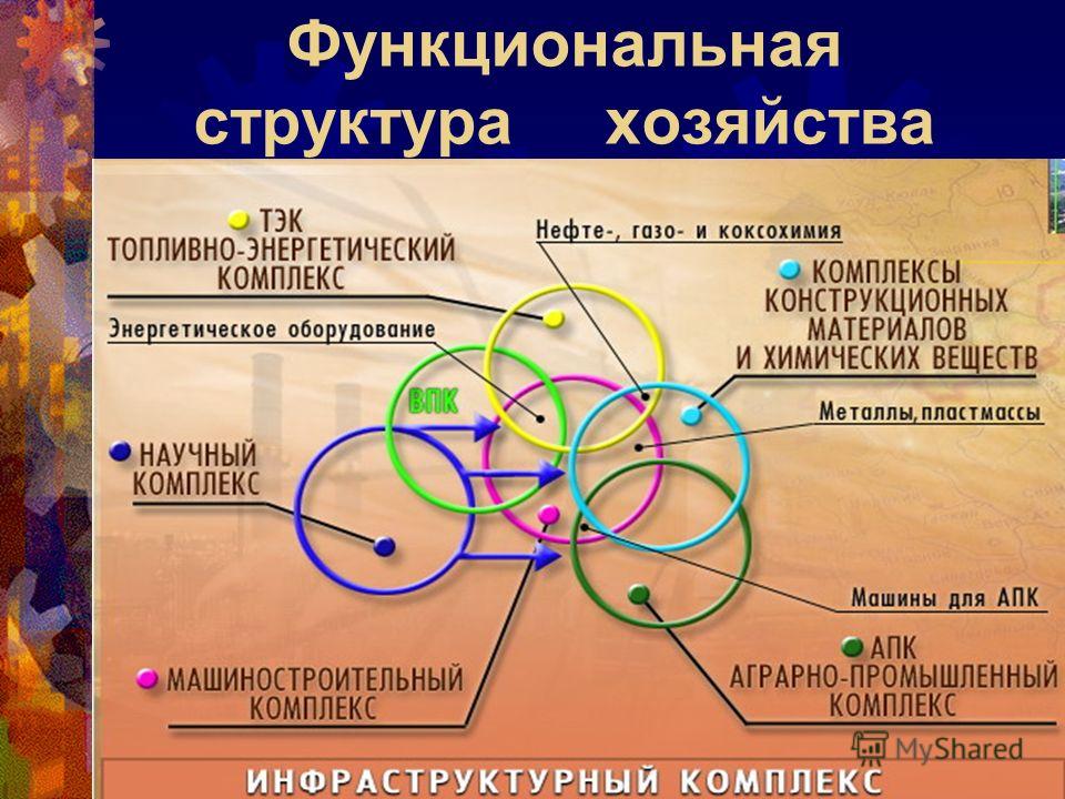 Функциональная структура хозяйства