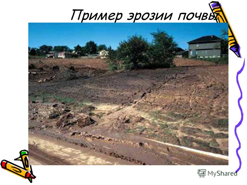 Пример эрозии почвы