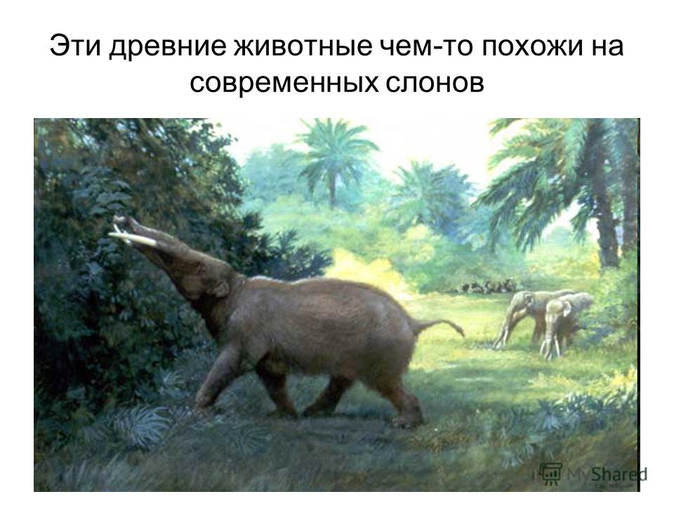 [PUNIQRANDLINE-(au-dating-names.txt) 25 Доклад о древних животных 4484