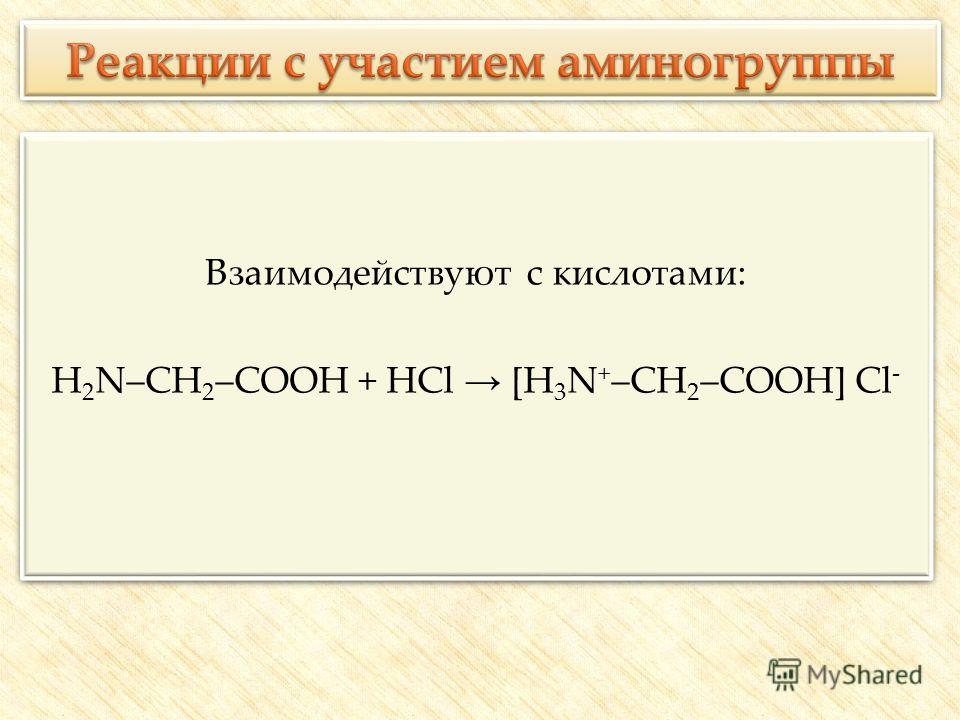 Взаимодействуют с кислотами: H 2 N–CH 2 –COOH + HCl [H 3 N + –CH 2 –COOH] Cl - Взаимодействуют с кислотами: H 2 N–CH 2 –COOH + HCl [H 3 N + –CH 2 –COOH] Cl -