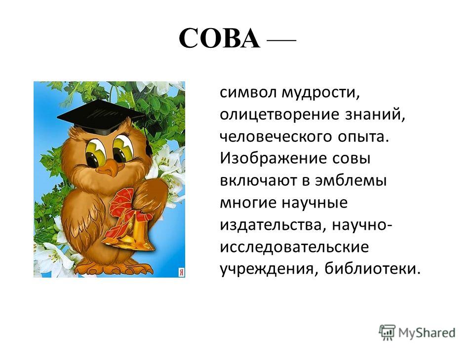 Как плетется коса из хвостиков с резинками: пошаговые фото Как нарисовать пословицу о труде? - Большой Вопрос