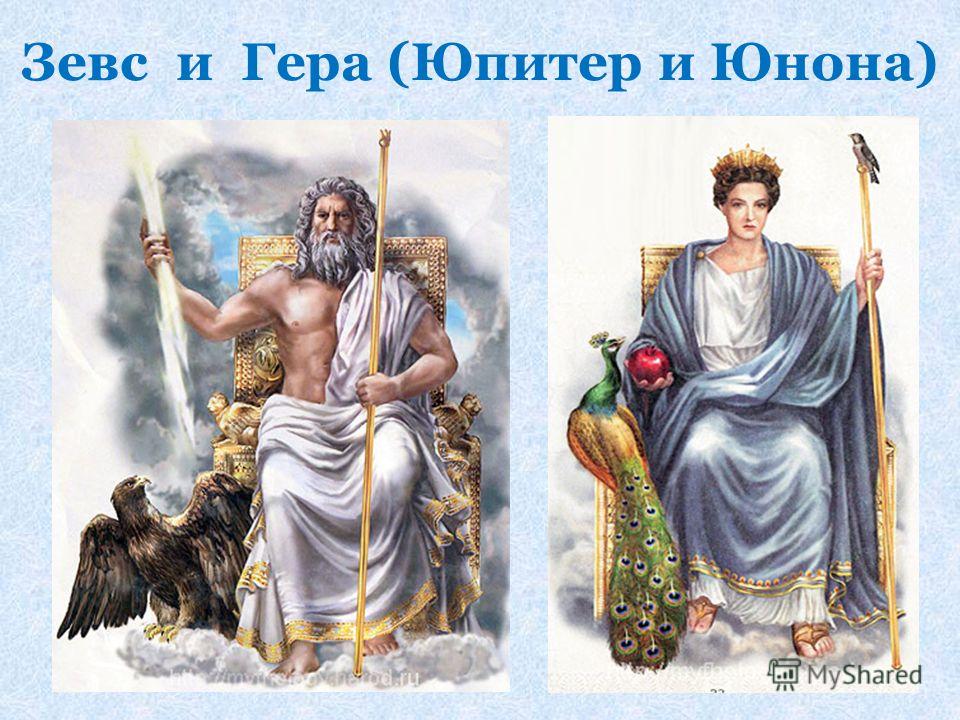 zeus and hera vs brad and Ebscohost serves thousands of libraries with premium essays, articles and other content including greek gods versus today's icons get access to over 12 million other articles. zeus and hera vs brad and Ebscohost serves thousands of libraries with premium essays, articles and other content including greek gods versus today's icons get access to over 12 million other articles.