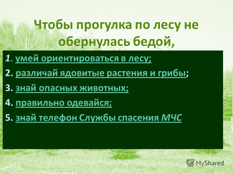 Опасности В Лесу Реферат Опасности В Лесу Реферат