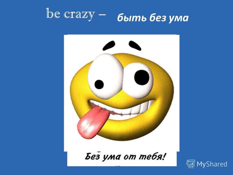 be crazy – быть без ума
