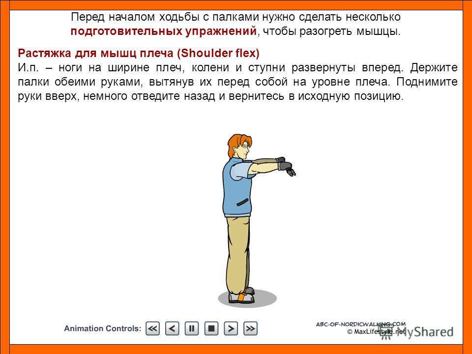 Скандинавская ходьба как сделать палки Скандинавская ходьба как сделать палки