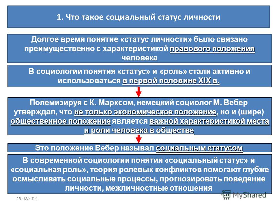 Статус организации школы что это такое Статус организации школы что это такое