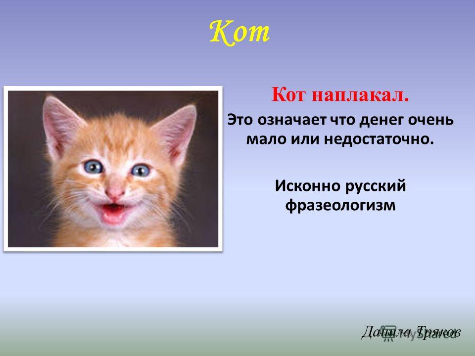 Синоним фразеологизм кот наплакал